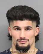 Mugshot of ALBERT FERRARI