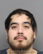 Mugshot of JORGE ORTEGA