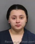 Mugshot of VIRGINIA PINEDA