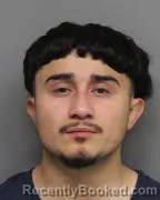 Mugshot of DENNIS LOPEZ