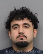 Mugshot of ANGEL RUBALCAVA