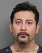 Mugshot of LUIS VIDAL