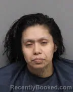 Mugshot of MICHELLE BOAL