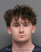 Mugshot of DYLAN THEOBALD