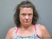 Mugshot of Raylene Ilo Johnston booked in Lincoln County, Nebraska on July 1, 2026