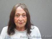Mugshot of Debra Ann Fitzsimons booked in Lincoln County, Nebraska on August 17, 2026