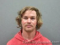 Mugshot of Brock Evan Swanson