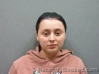 Mugshot of Virginia Nmn Pineda-Lemus