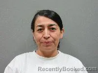 Mugshot of Azugey Ramirez-Ulloa