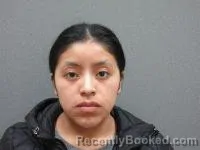 Mugshot of Fabiana Maria Ramos-Rafael