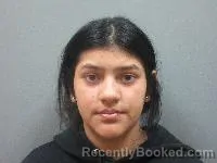 Mugshot of Yerlinel Gonzalez-Fontecha booked in Lincoln County, Nebraska on April 15, 2026