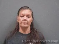 Mugshot of Betsy Somers Fowler booked in Lincoln County, Nebraska on August 17, 2026