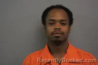 Mugshot of Terron Michael Nelson