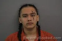 Mugshot of Oso Hokshila Cosme