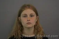 Mugshot of Sidney Rae Hoferer booked in Madison County, Nebraska on July 11, 2026