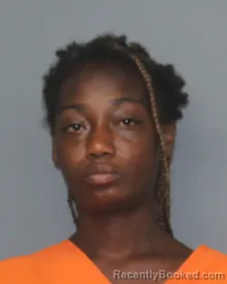 Booking photo from Bowie County, Texas