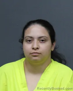 Mugshot of LIZBETH ALEJANDRA ARTEAGA