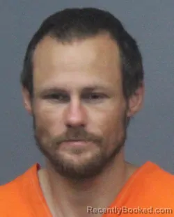 Mugshot of JOHNNY LEE HORN