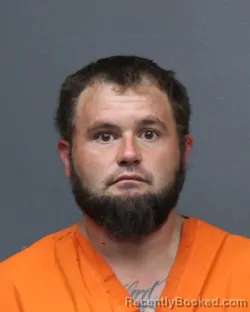 Mugshot of BOBBY GENE MCDOUGAL