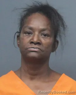 Mugshot of TAMMY LASHELLE MCHENRY