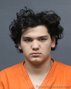 Booking photo from Bowie County, Texas