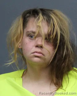 Mugshot of CHRISSY ELIZABETH GIBBONS