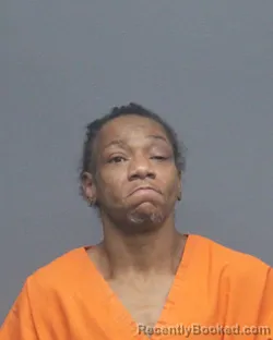 Mugshot of KISSEY ANN HARRISON booked in Bowie County, Texas on March 25, 2026