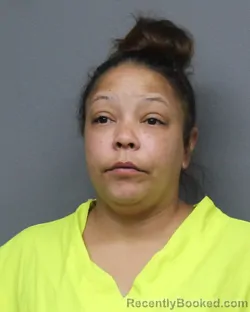 Mugshot of WHITNEY DANIELLE NELSON booked in Bowie County, Texas on March 26, 2026