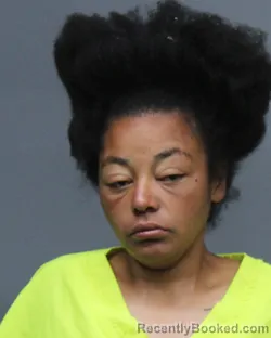 Mugshot of ASHLEY NICOLE OLIVAREZ booked in Bowie County, Texas on March 30, 2026