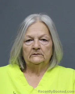 Mugshot of STORMY LYNN HAMPTON booked in Bowie County, Texas on March 31, 2026