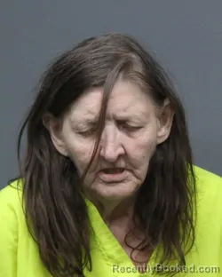 Mugshot of DEBROAH KAY STUBBS booked in Bowie County, Texas on May 20, 2026