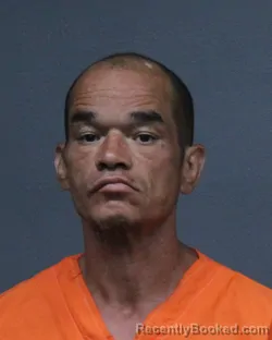 Mugshot of JOHNNIE RAY PERKINS booked in Bowie County, Texas on July 20, 2026