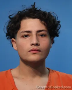 Mugshot of Michael Bauman