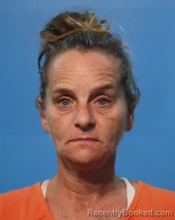 Mugshot of Jeanne Michelle Franco Perkins