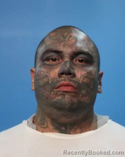 Mugshot of JOVANI SANTANA