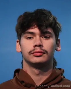 Mugshot of BRENT THOMPSON