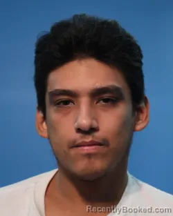 Mugshot of JOSE LUIS REYES