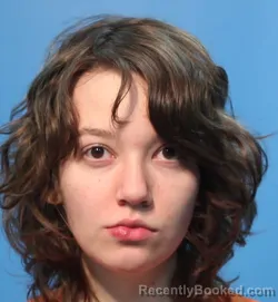 Mugshot of ARIEL FRIUDENBERG