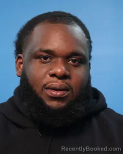 Mugshot of LEWIS MILES