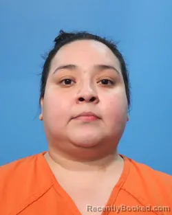 Mugshot of Priscilla Solis