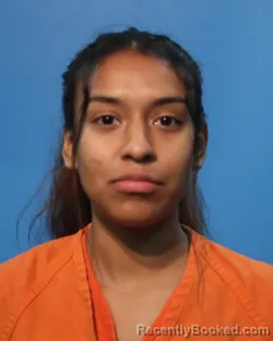 Mugshot of JOHANNA ISABEL GUEVARA