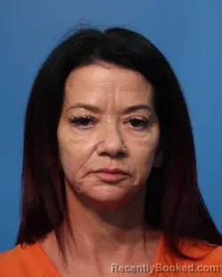 Mugshot of MEGHAN LATAM