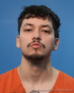 Mugshot of Christian Ian Jackson