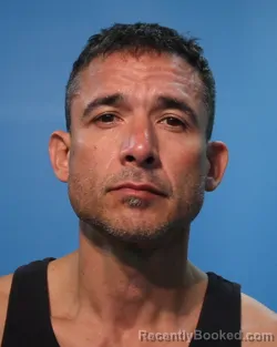 Mugshot of Ricardo Allan Pulido