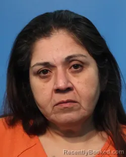 Mugshot of Mary Ann Guerrero