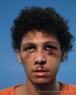 Mugshot of Aaron Lamart Johnson