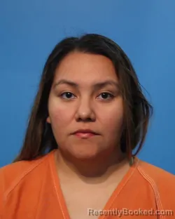 Mugshot of TERESA MEJIA BRAVO