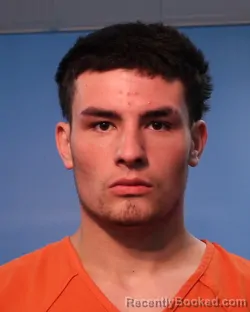 Mugshot of GAGE LEE LECEA