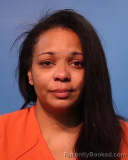 Mugshot of Allison Marie Bradshaw