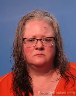 Mugshot of DENILLE RENE ABREGO